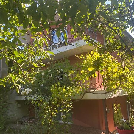 Ardelean Apartment Oradea Ngoại thất bức ảnh