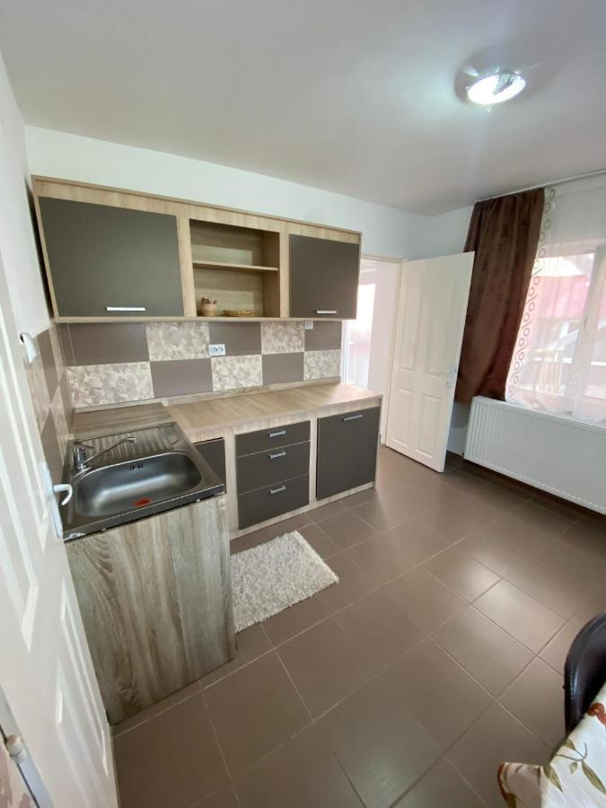 Ardelean Apartment Oradea Ngoại thất bức ảnh