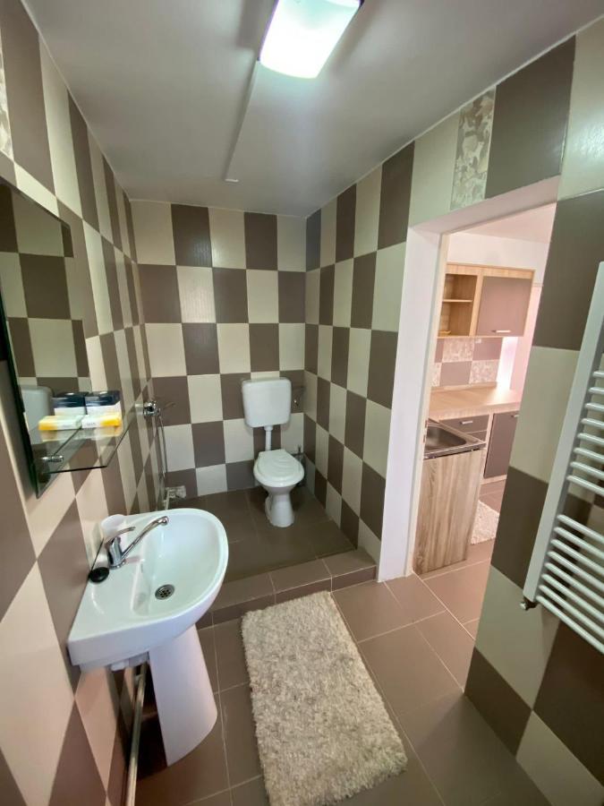 Ardelean Apartment Oradea Ngoại thất bức ảnh