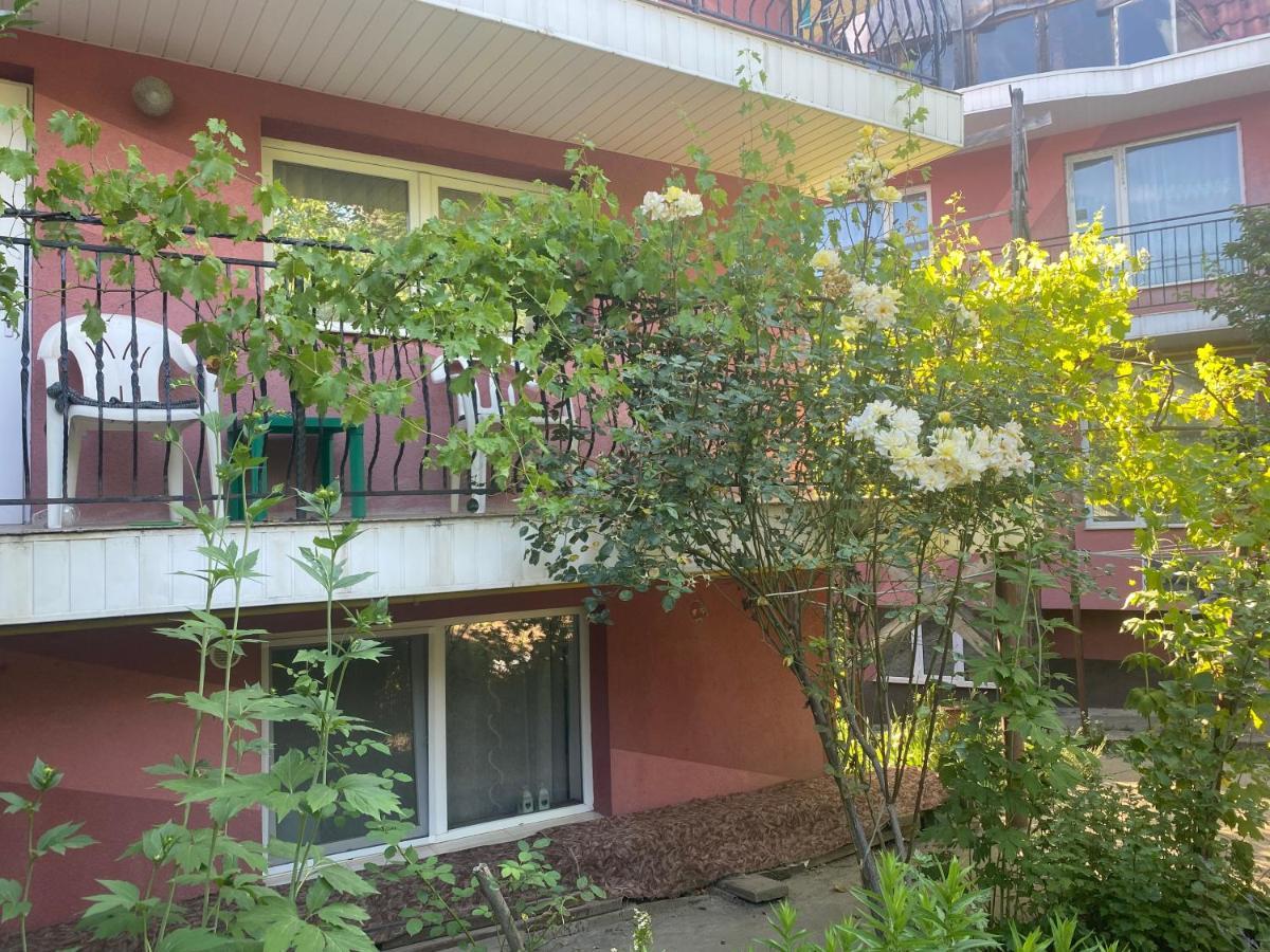 Ardelean Apartment Oradea Ngoại thất bức ảnh