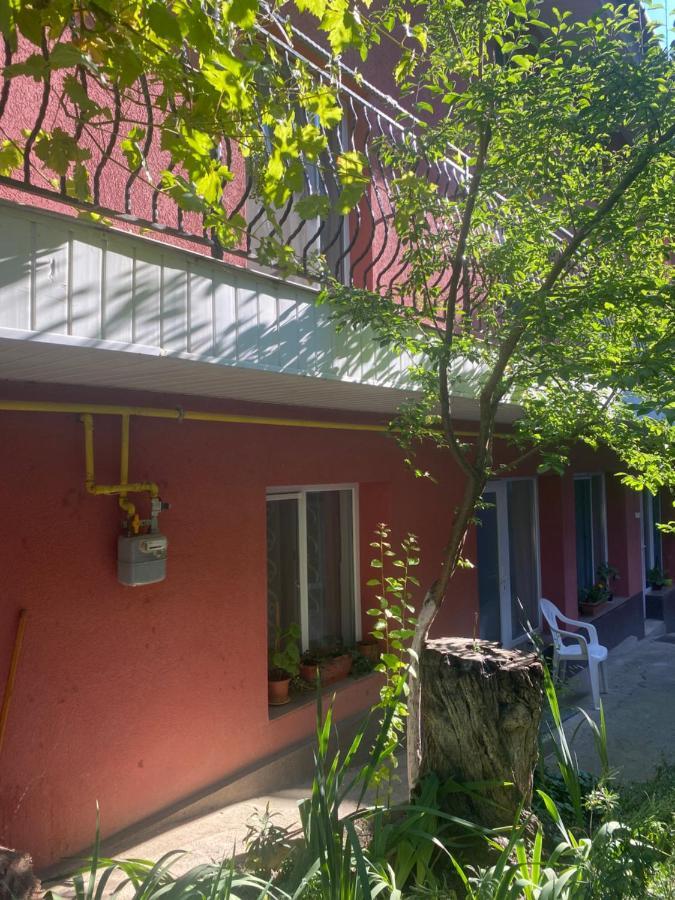 Ardelean Apartment Oradea Ngoại thất bức ảnh