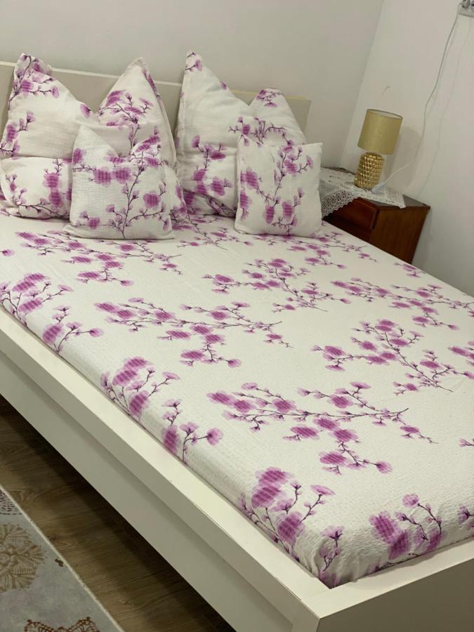 Ardelean Apartment Oradea Ngoại thất bức ảnh