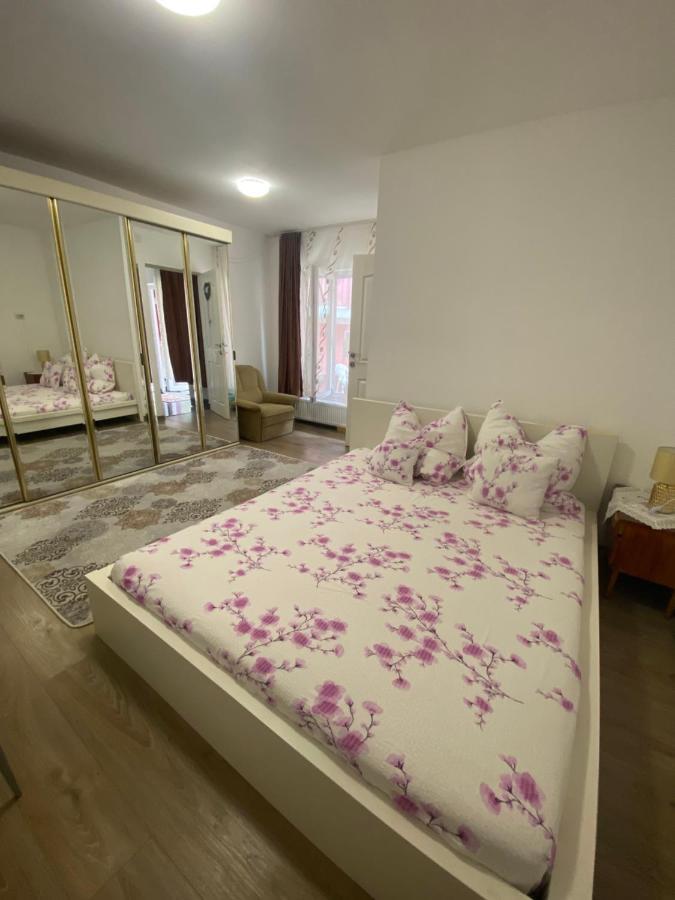 Ardelean Apartment Oradea Ngoại thất bức ảnh